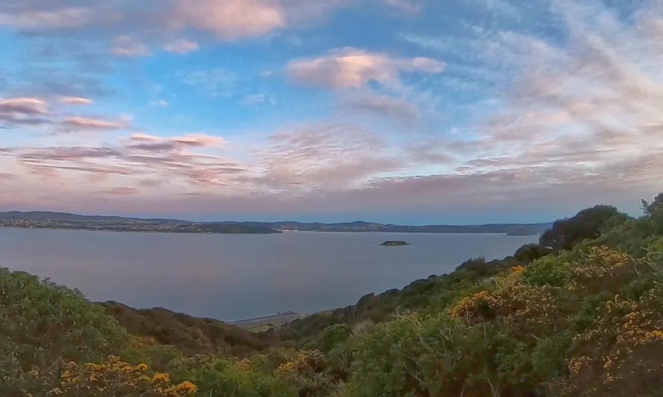 Eastbourne Ridge Loop, Wellington