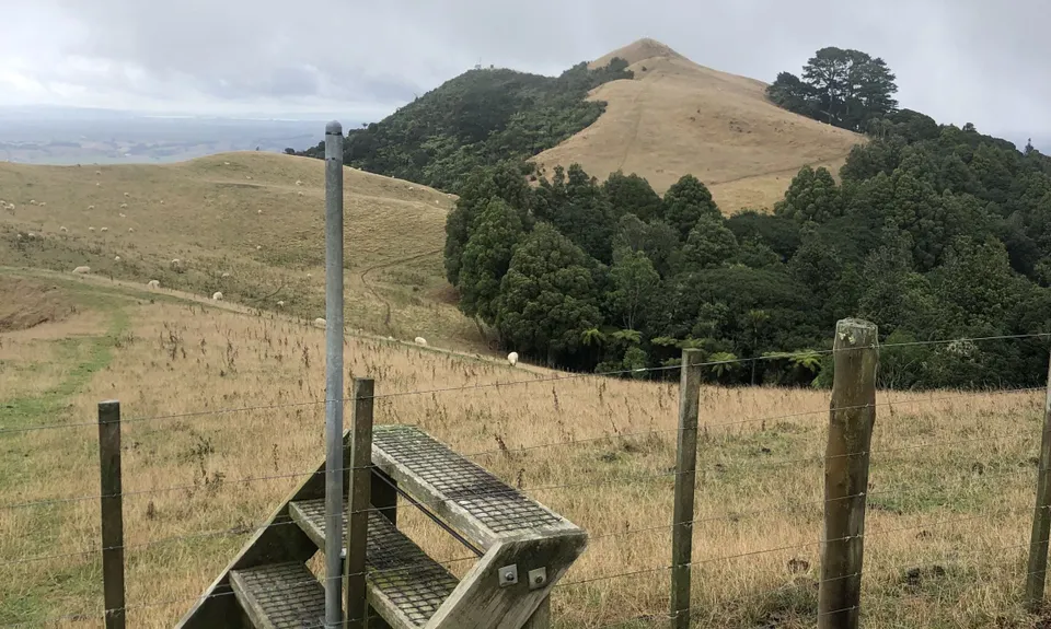 Mt William Wacky Walkway, Auckland