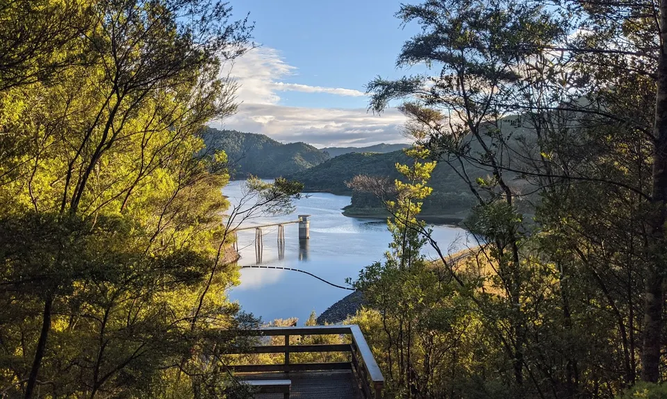 Wairoa Suspension Loop, Auckland