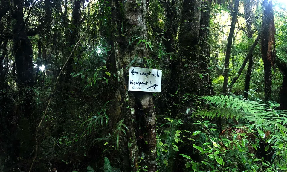 Omaui Reserve, Southland