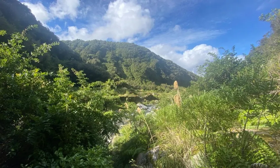 Curtis Falls, Taranaki