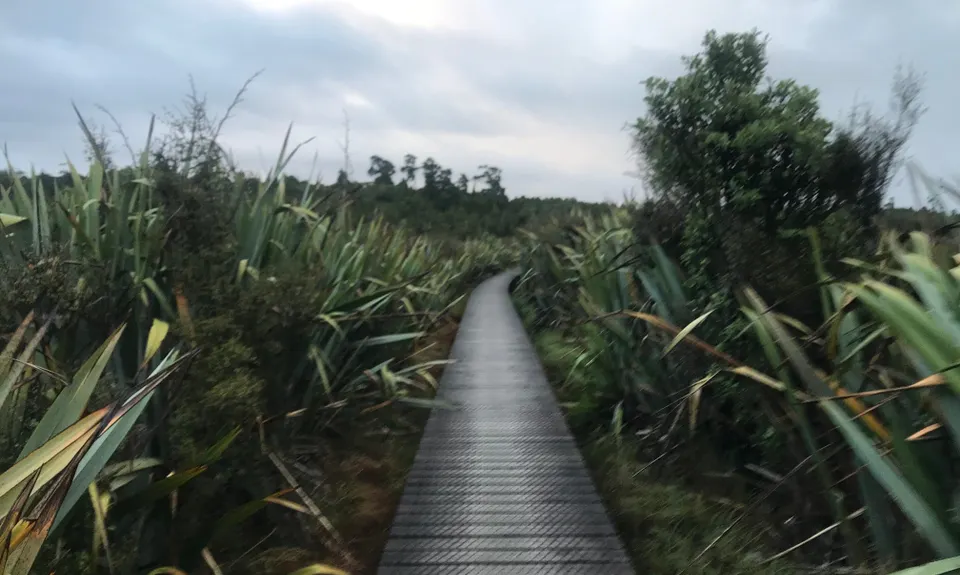 Mananui Tramline, West Coast