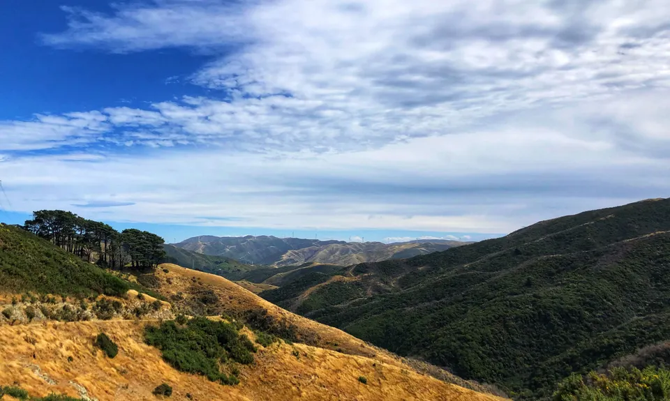 Chartwell-Skyline Loop, Wellington