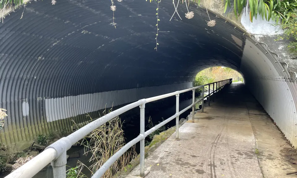 Cascadia, Auckland
