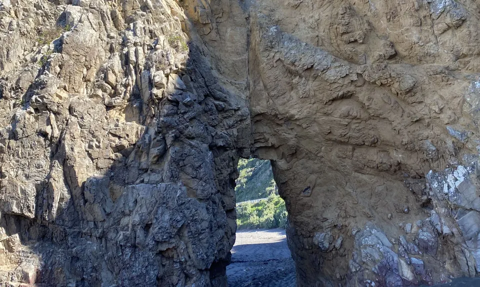 Oruaiti Reserve, Wellington