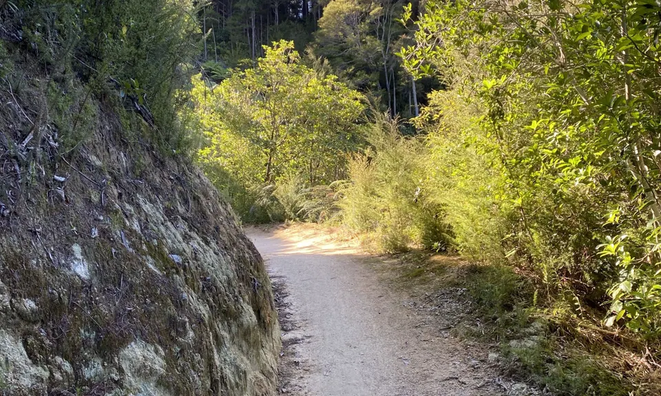 Kaiteriteri Loop, Tasman
