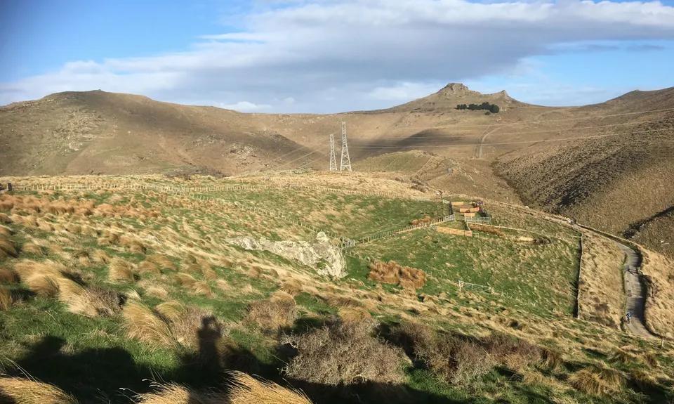 Montgomery Loop, Canterbury