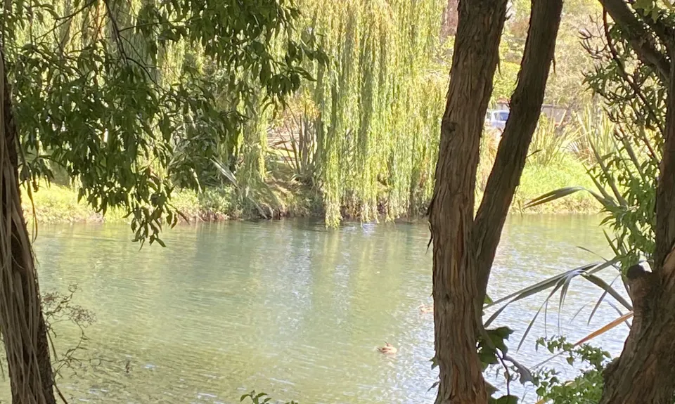 Heathcote River Run - Opawa to Hoon Hay, Canterbury