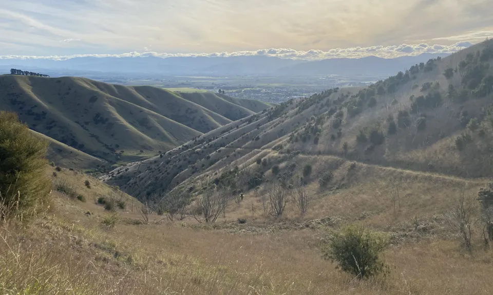 Vernon Ridgeline, Marlborough