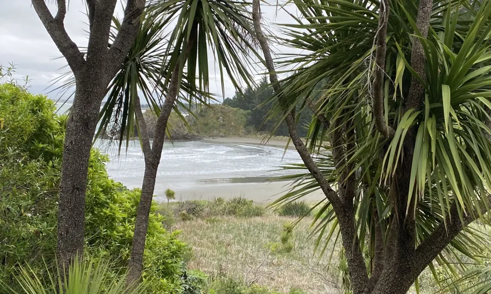 Tokomaru, Mt Robertson Circuit, Marlborough