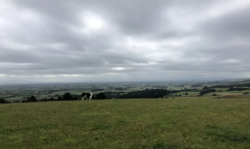 Forrest Hill Track, Southland