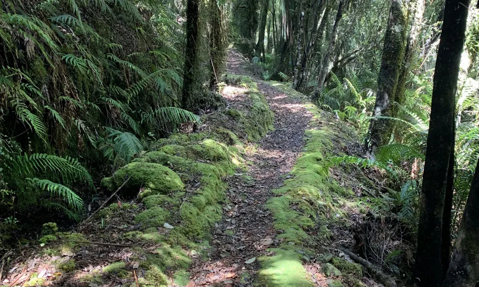 Kaniere Water Race, West Coast