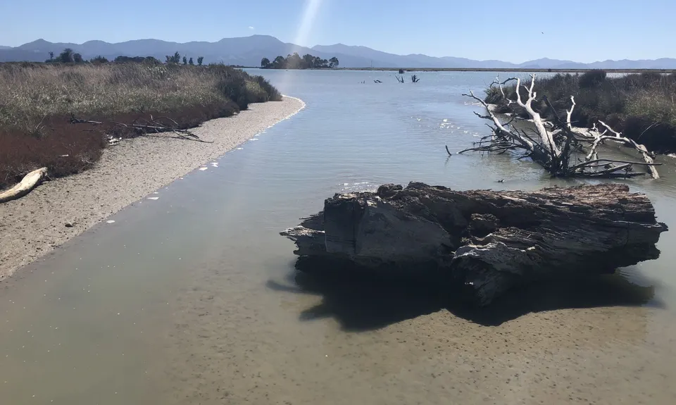 Wairau Lagoons Loop v2, Marlborough