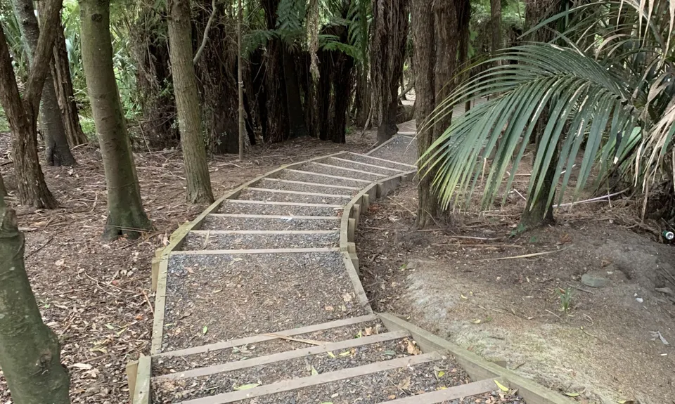 Centennial Park trails (Campbells Bay), Auckland