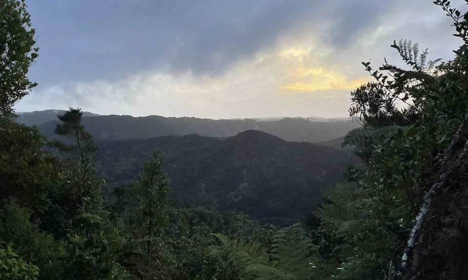 Pukapuka Track, Auckland