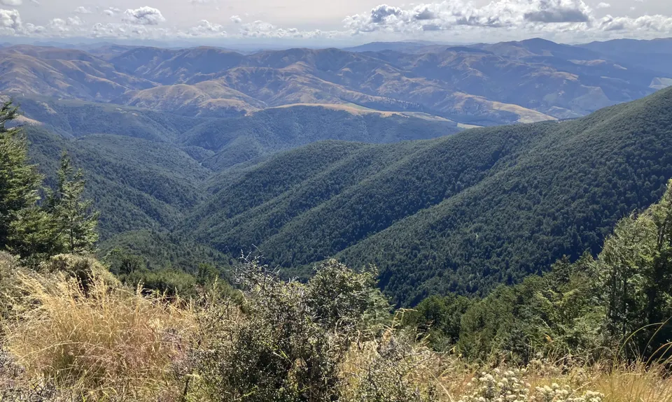 Mt Thomas via Ridge Track, Canterbury
