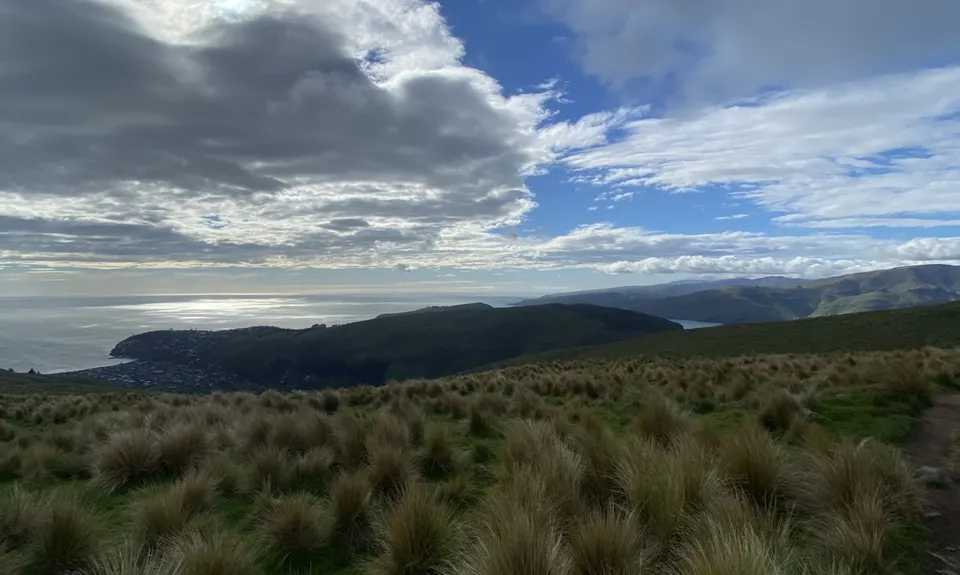 Mt Pleasant Trig, Canterbury