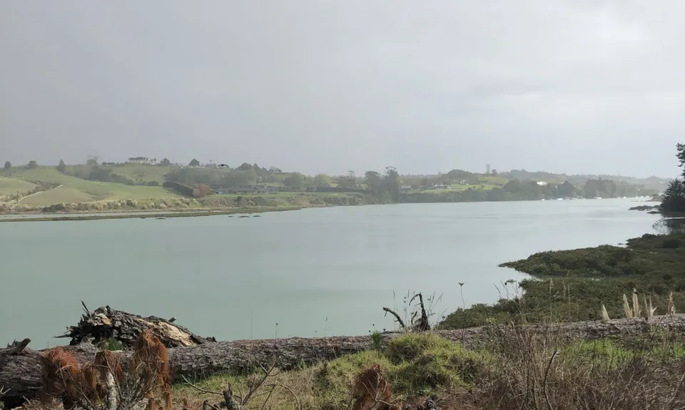 Whitford Coastal Trail Loop , Auckland