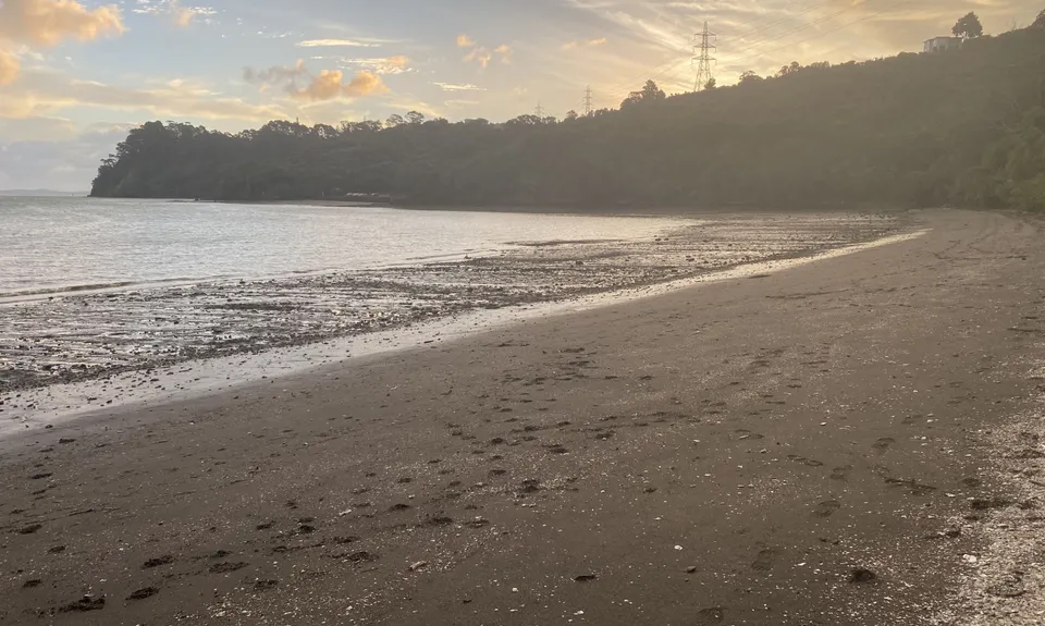 Waikowhai Stairs, Bush & Beach, Auckland