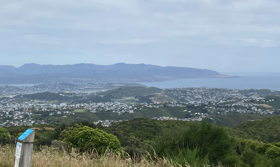 Barking Mad on Barking Emu, Wellington
