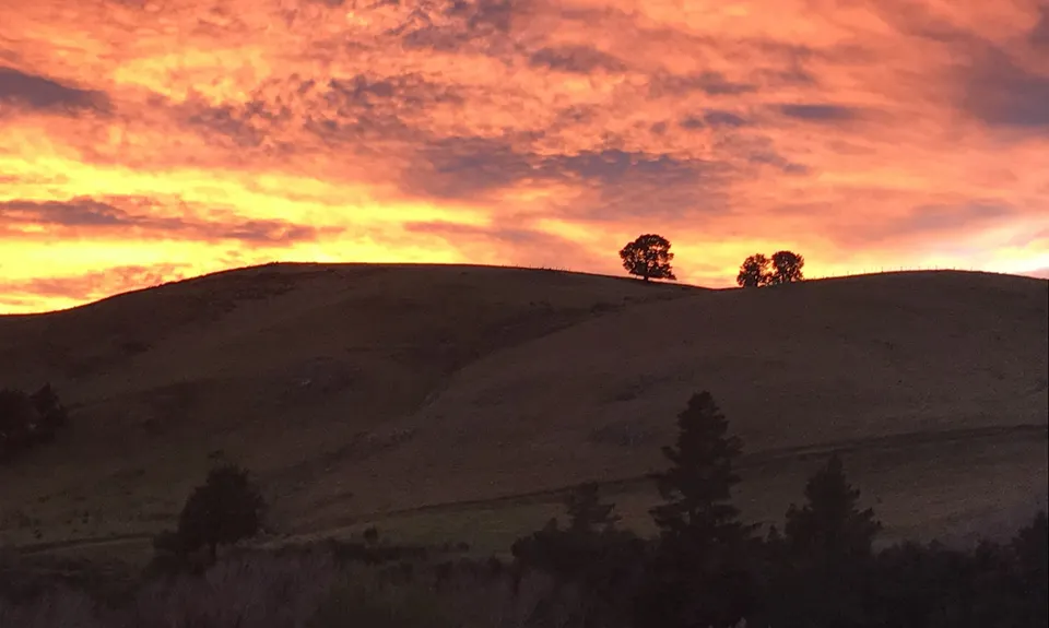 Mt Oxford - Wharfedale Track, Canterbury