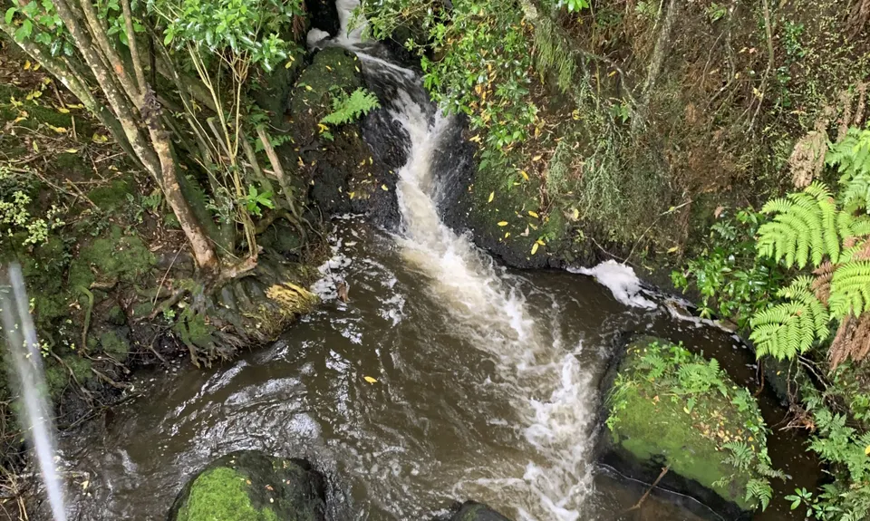 Little Waipa to Arapuni, Waikato