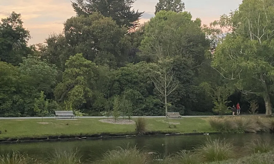 Hagley Figure of 8, Canterbury