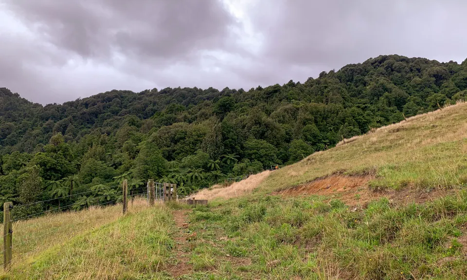 Te Tuhi Wairere Loop, Waikato