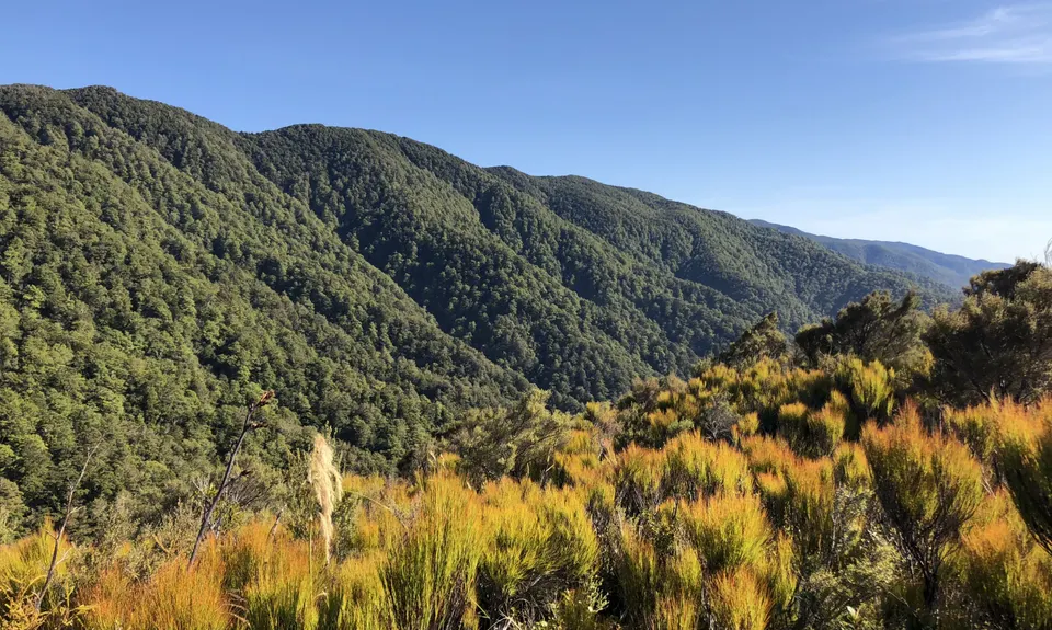 Dobson Loop, Wellington