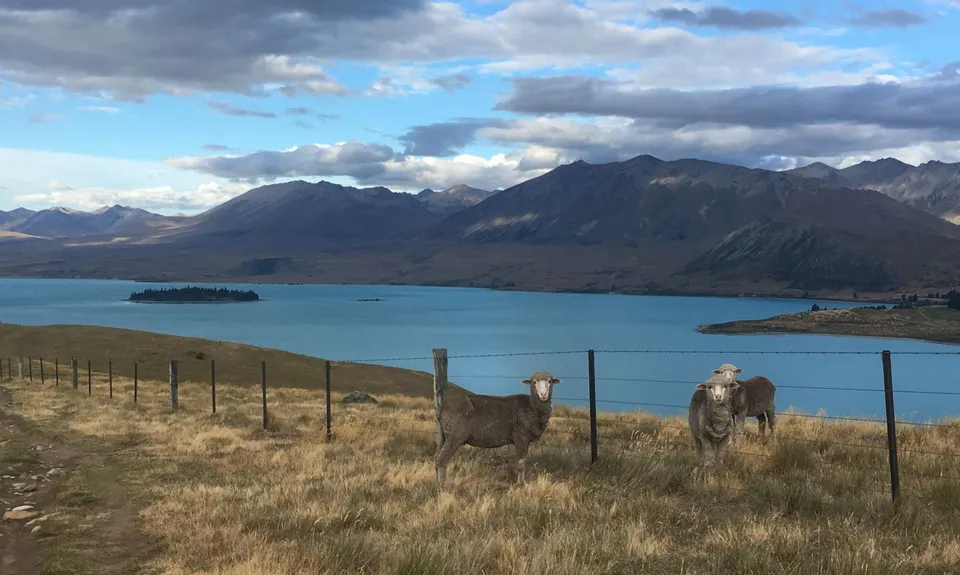 Mt John - Lake Tekapo Loop, Canterbury