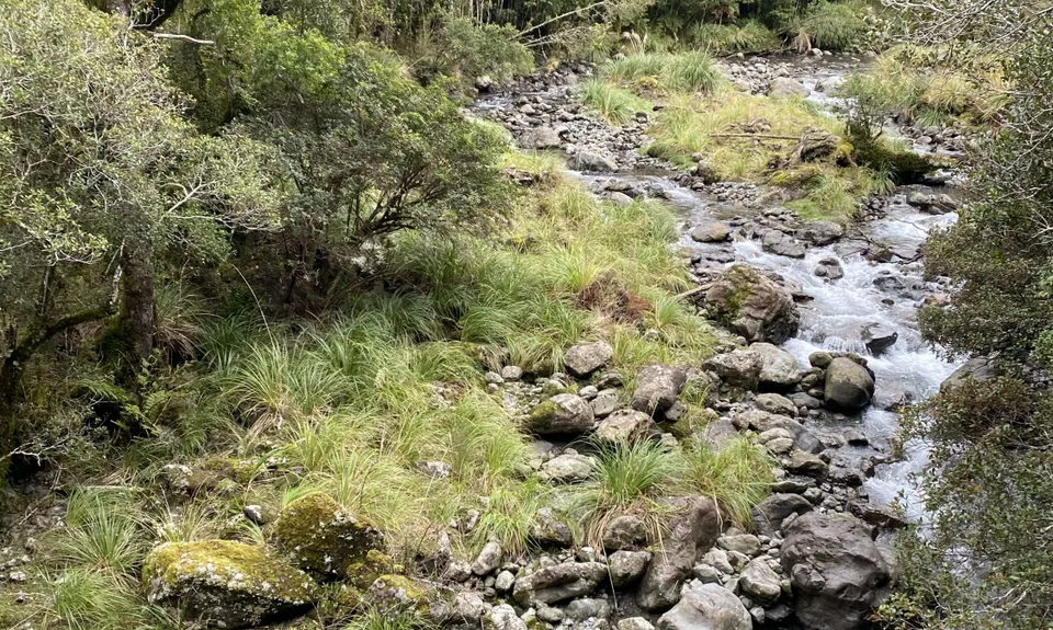 Holdsworth Lodge to Totara Flats Hut and return, Wellington