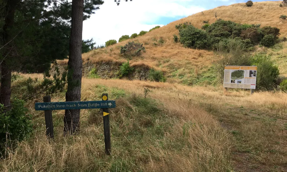 Battle Hill - Puketiro Loop, Wellington