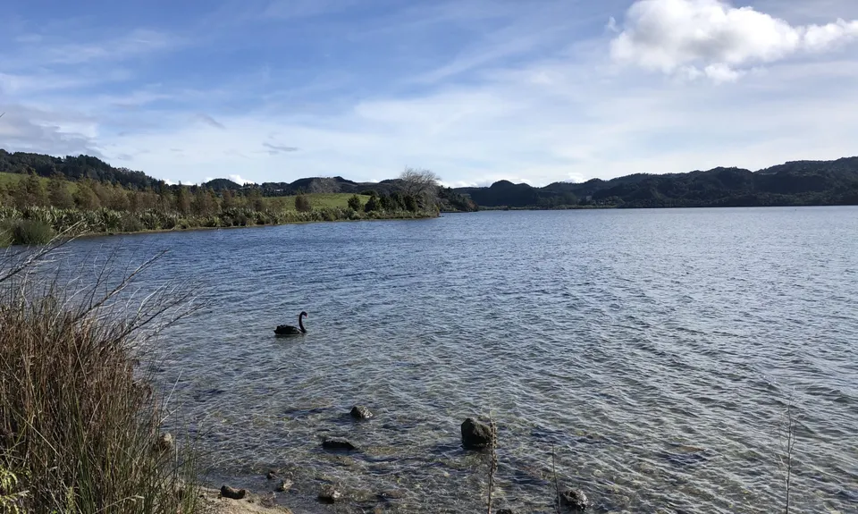 Lake Okareka Walkway, Bay of Plenty