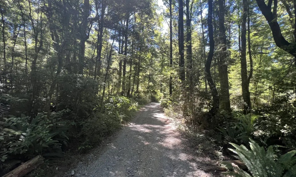 Hello Rotoroa, Tasman