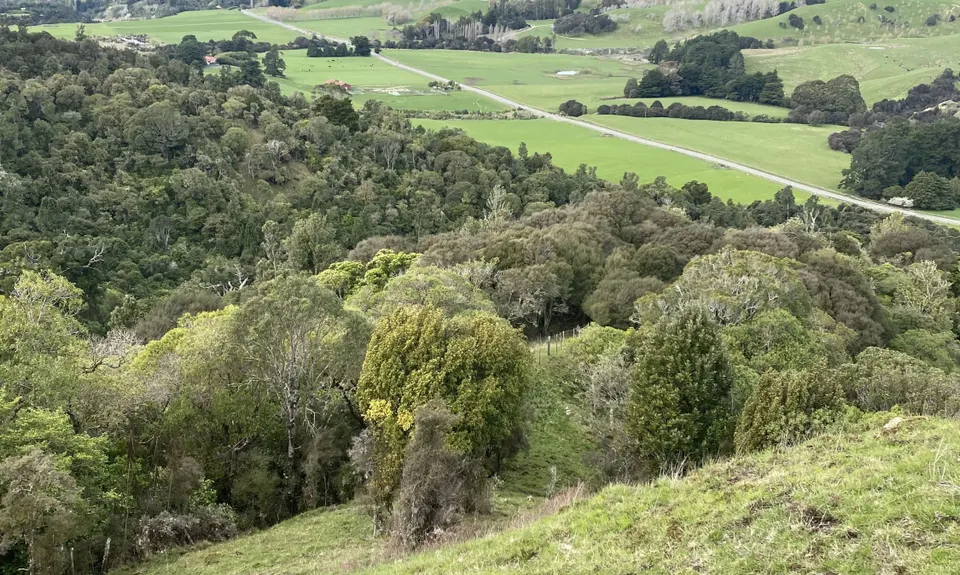 Rewanui Loops, Manawatu - Wanganui