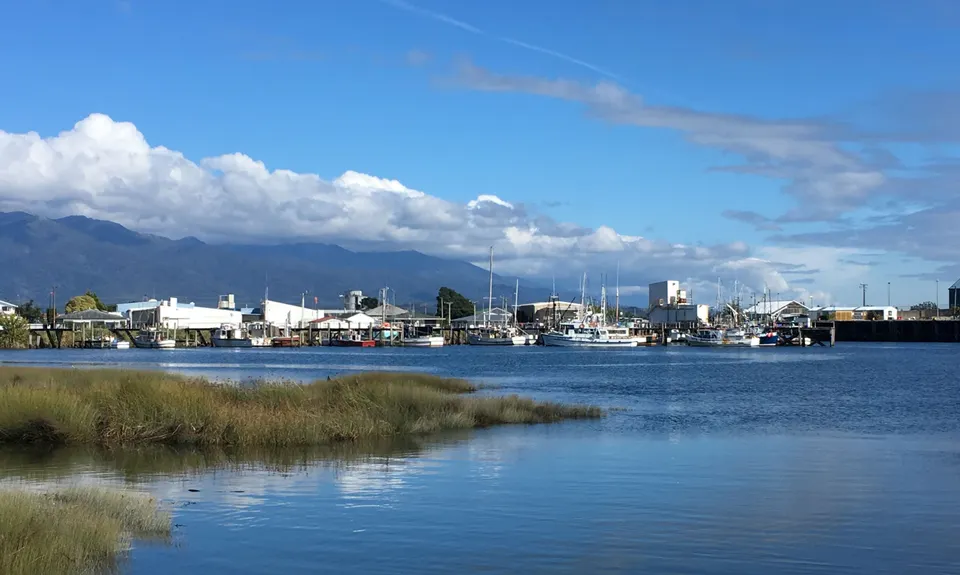 Kawatiri River Trails, West Coast