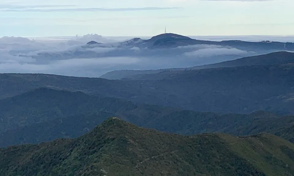 Silverpeaks Pure, Otago