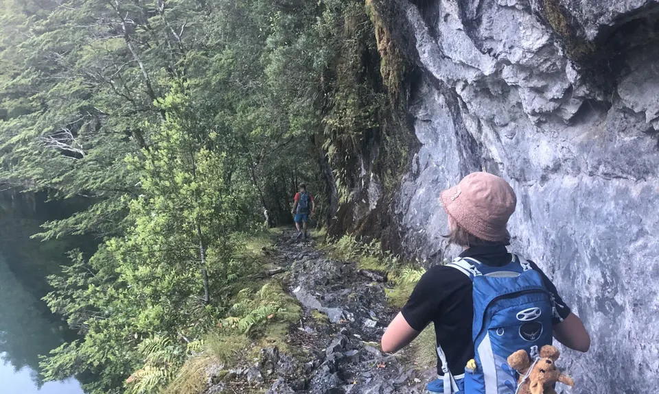 Milford Track , Southland