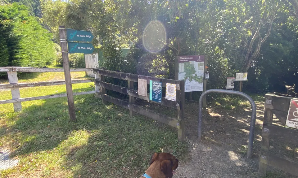 Rata Ridge, Wellington
