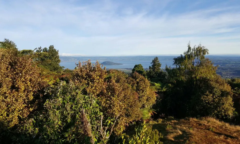 Not Your Usual Rangitoto, Bay of Plenty