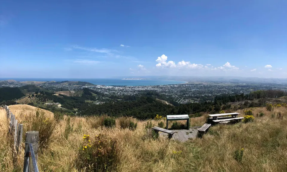 Te Kuri Farm walkway, Gisborne