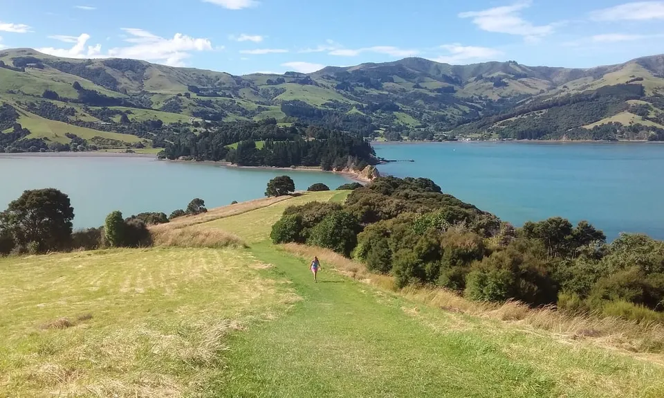 Onawe Plug, Canterbury