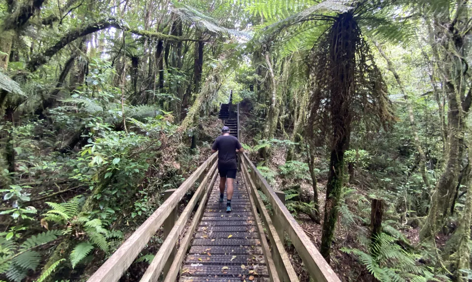 York Trail Wet Foot, Taranaki