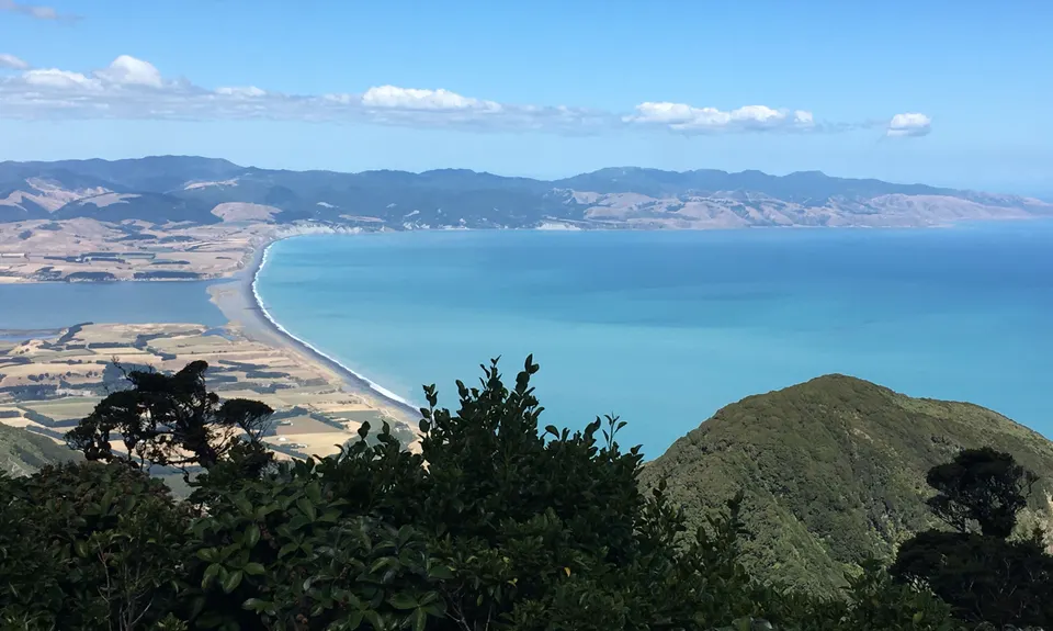 Mt Matthews, Wellington