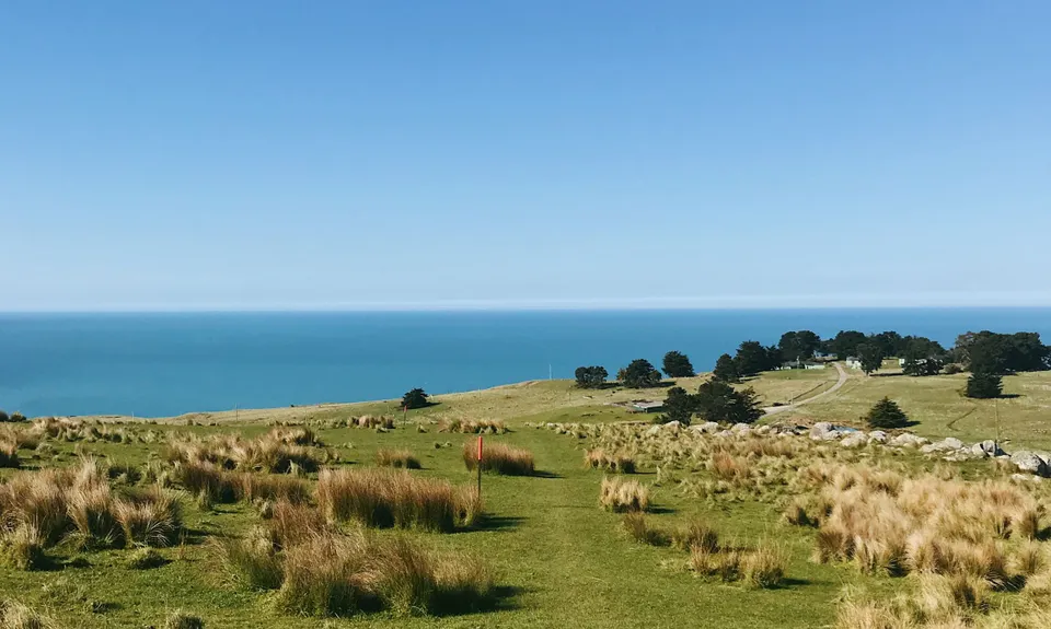 Sumner Half Heads, Canterbury