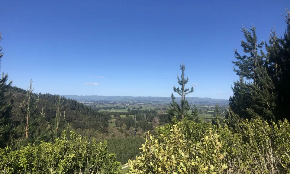 Mt Dick Loop, Wellington