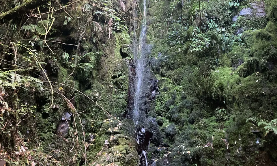 Lindemann's Loop, Bay of Plenty