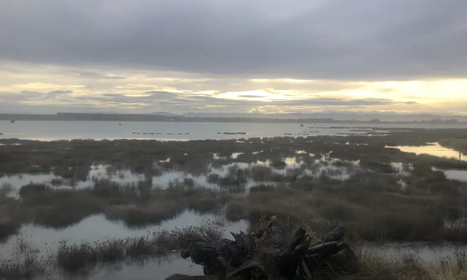 North New Brighton Spit, Canterbury