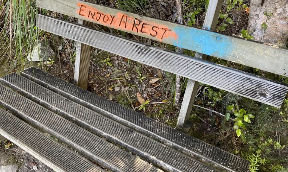 Tawhai Loop, Wellington