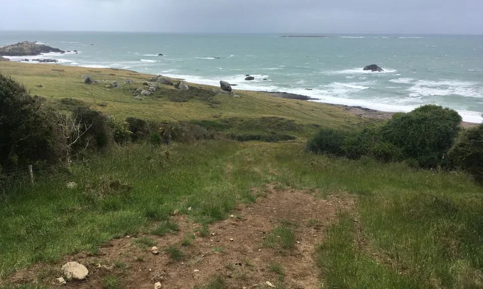 Mores Reserve Loop, Southland